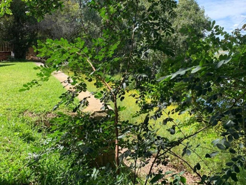 Juda Haus Lodge Katima Mulilo Eksteriør billede